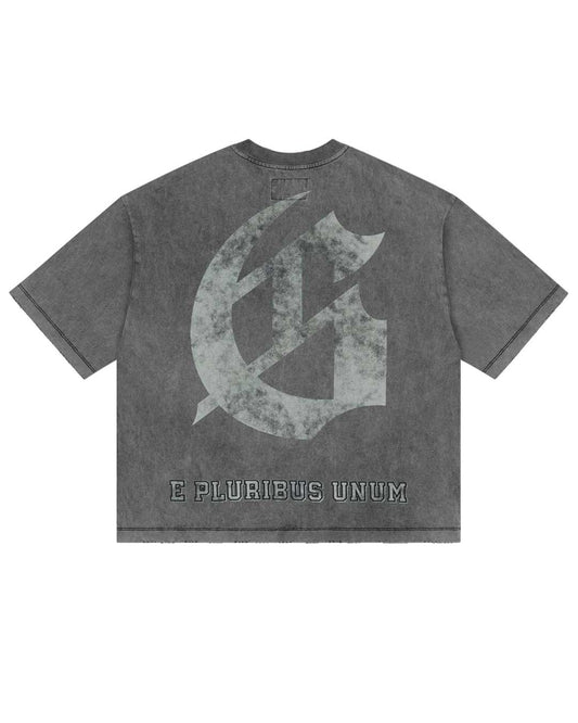 Godspeed Collegiate Tee Grey Wash