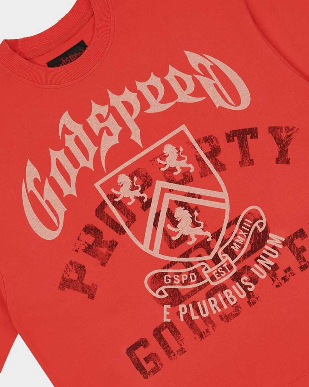 Godspeed Collegiate Tee Cherry Wash
